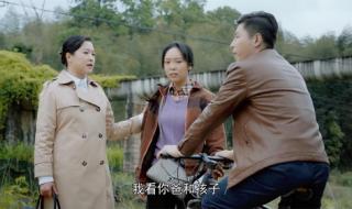 恶霸犬哪种体型最贵