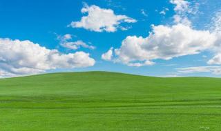 金秋相逢共叙合作