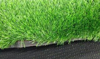 生产塑料草坪厂家