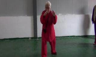 85式太极拳