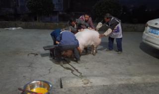 四川回应禁自家杀猪