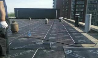 东方雨虹防水怎么样