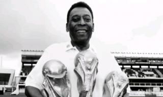 巴西世界杯预选赛2023