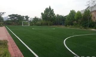 七人制足球场造价明细